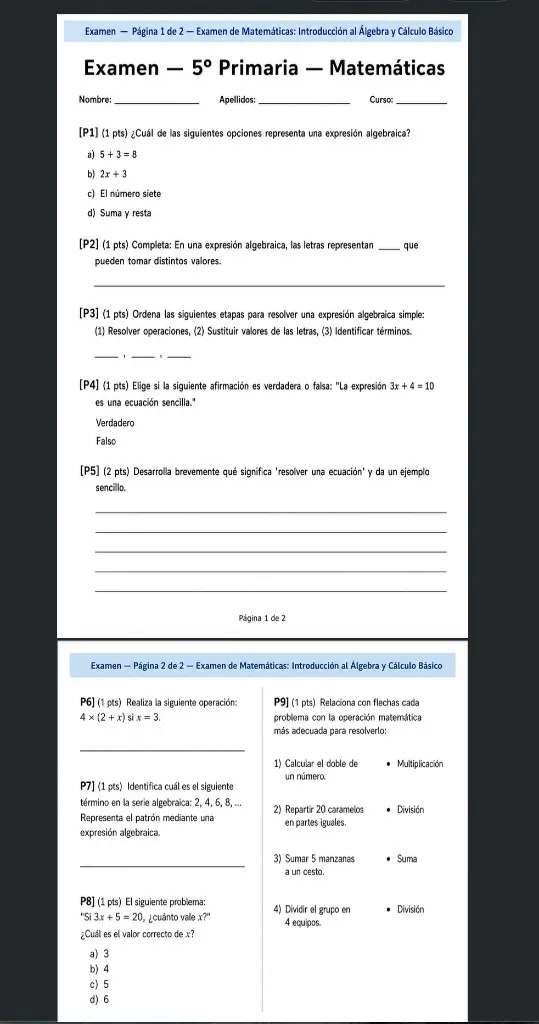 Páginas renderizadas del examen